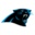 Panthers