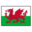 Wales U19
