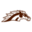 Western Michigan